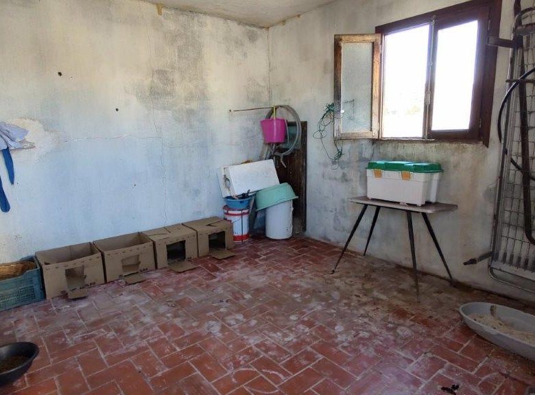 M2132-Turre Property with commercial space and roof terrace