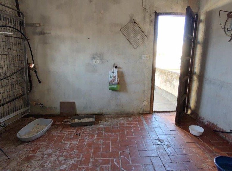 M2132-Turre Property with commercial space and roof terrace