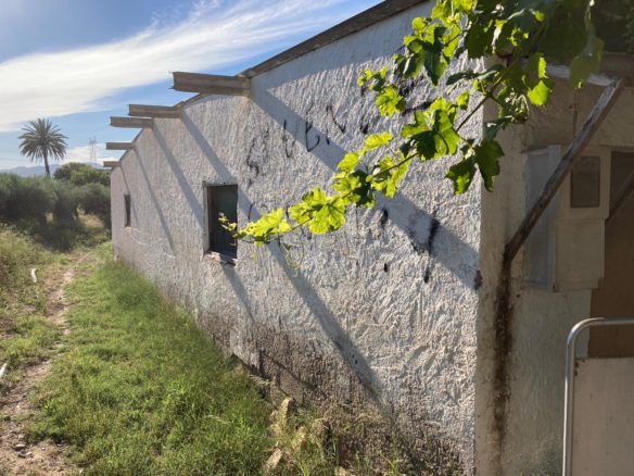 M1153 Turre Two brick built properties on a 5000m2 plot.