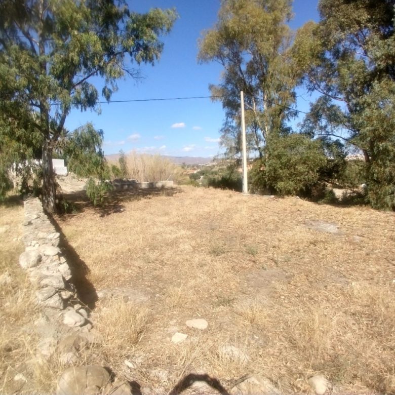 M1171 Cortijo with separate ruin on 2000m2