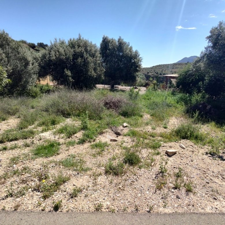 M1184 Los Gallardos Semi detached cortijo reform