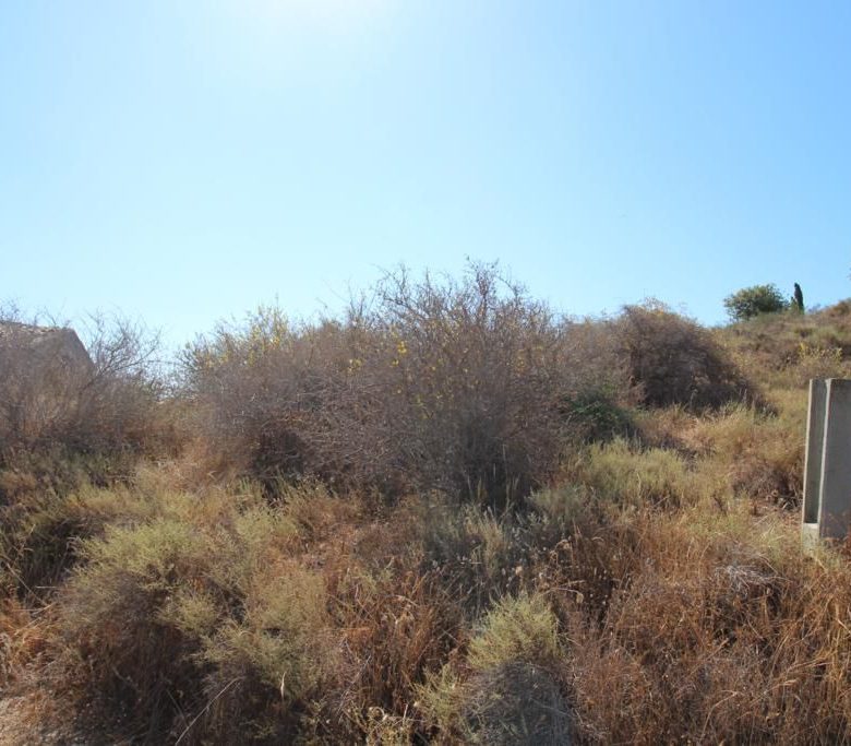 M1188 Two buildings on large plot in Mojacar