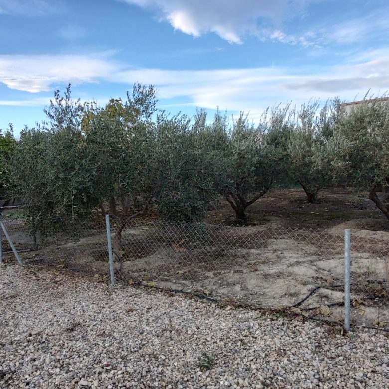 M2119 Three bedroom cortijo walking distance to Turre