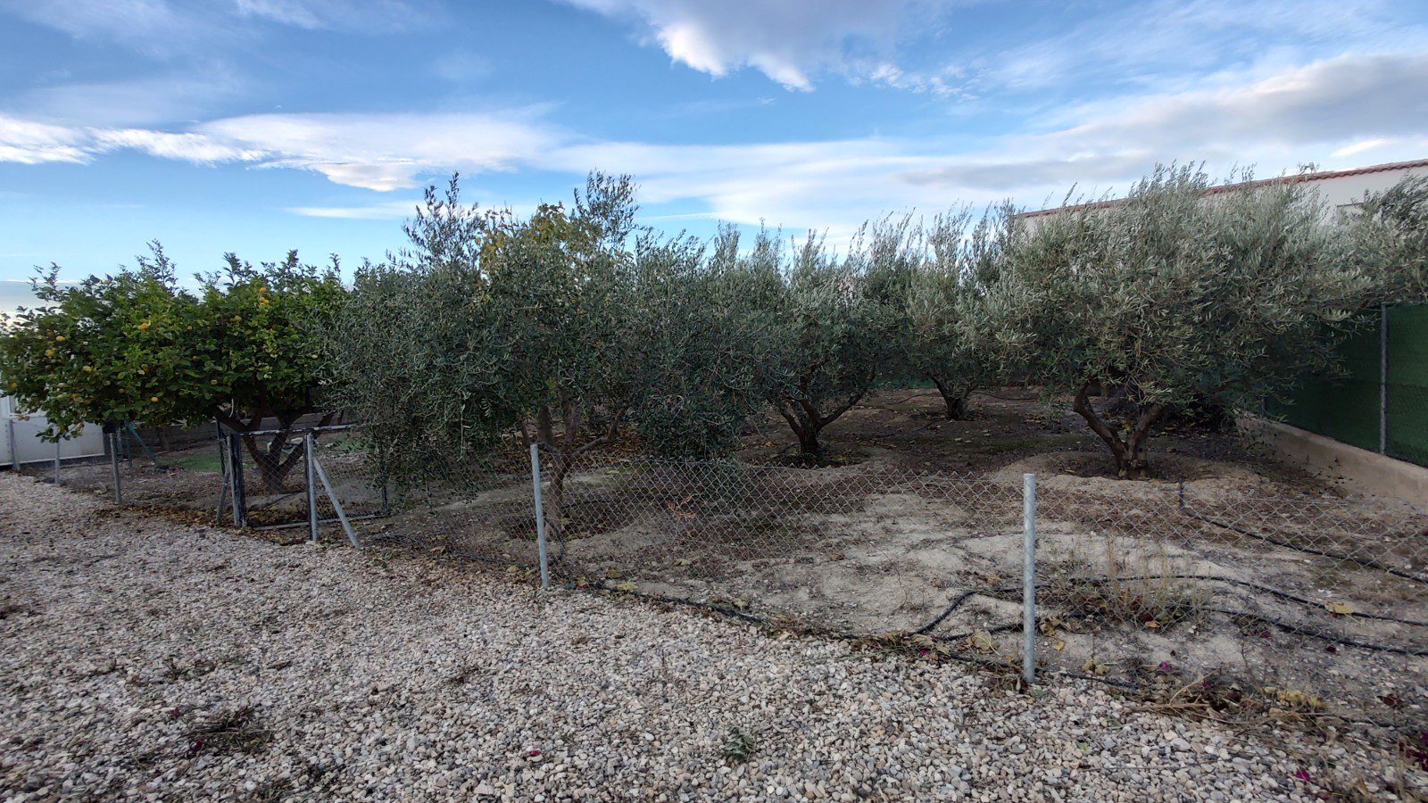 M2119-1 3 Bed Cortijo Turre M2119 Three bedroom cortijo walking distance to Turre