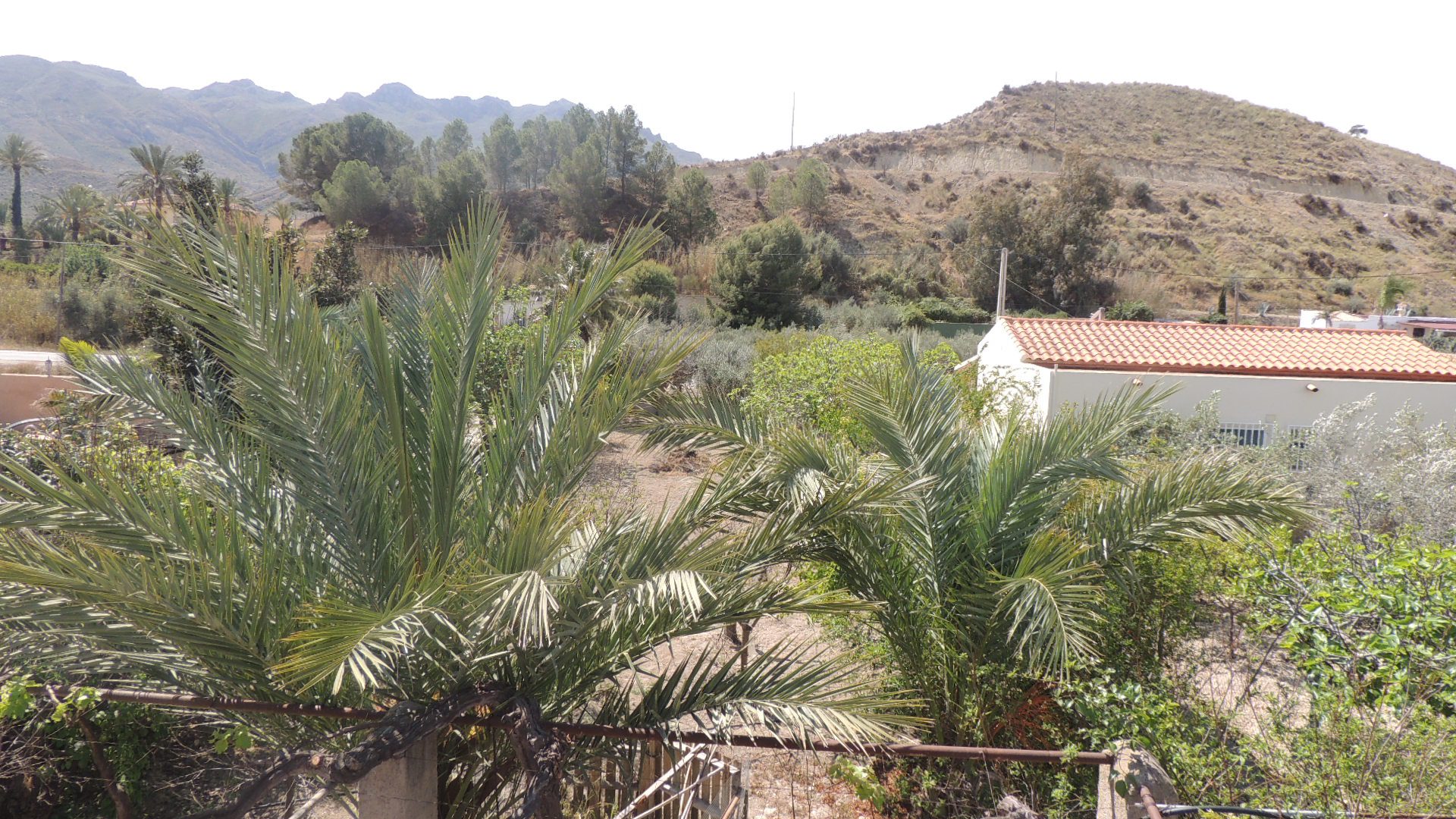 MC579-13 Turre MC579 Turre Cortijo with outbuildings