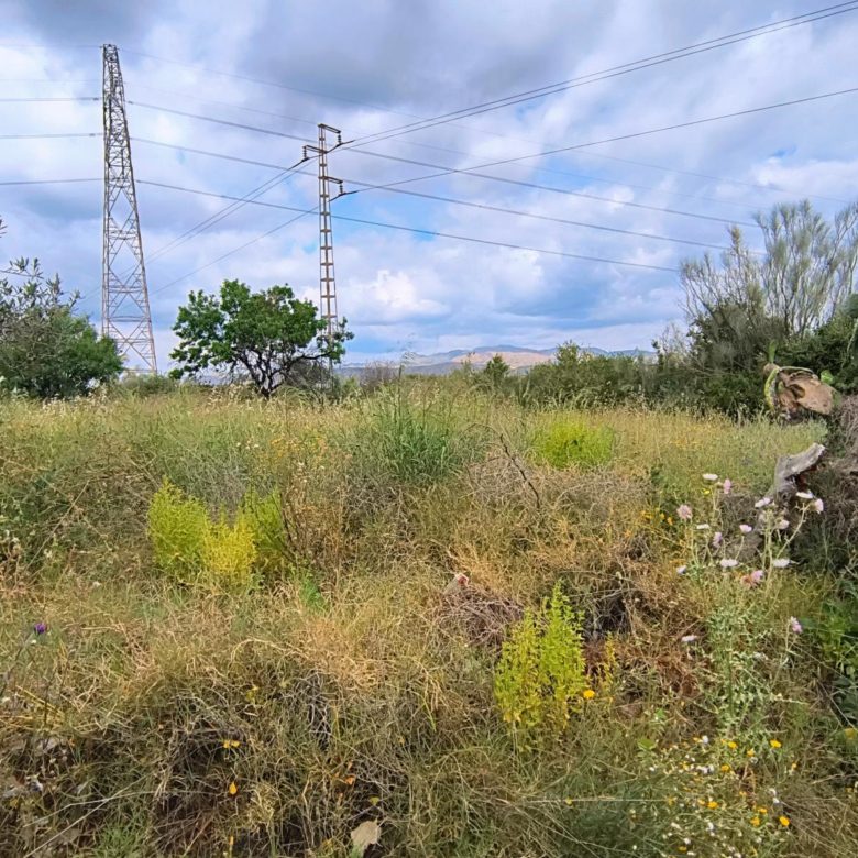 M2182-Semi detached cortijo with land.