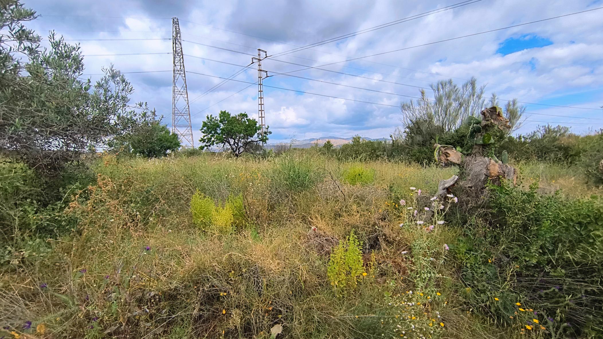 IMG_20250509_121801909_HDR_AE~2 M2182-Semi detached cortijo with land.