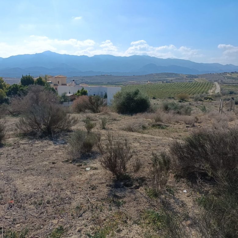 m2184-Cortijo on over 26,000m2.