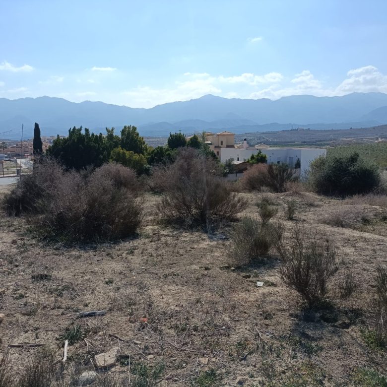 m2184-Cortijo on over 26,000m2.
