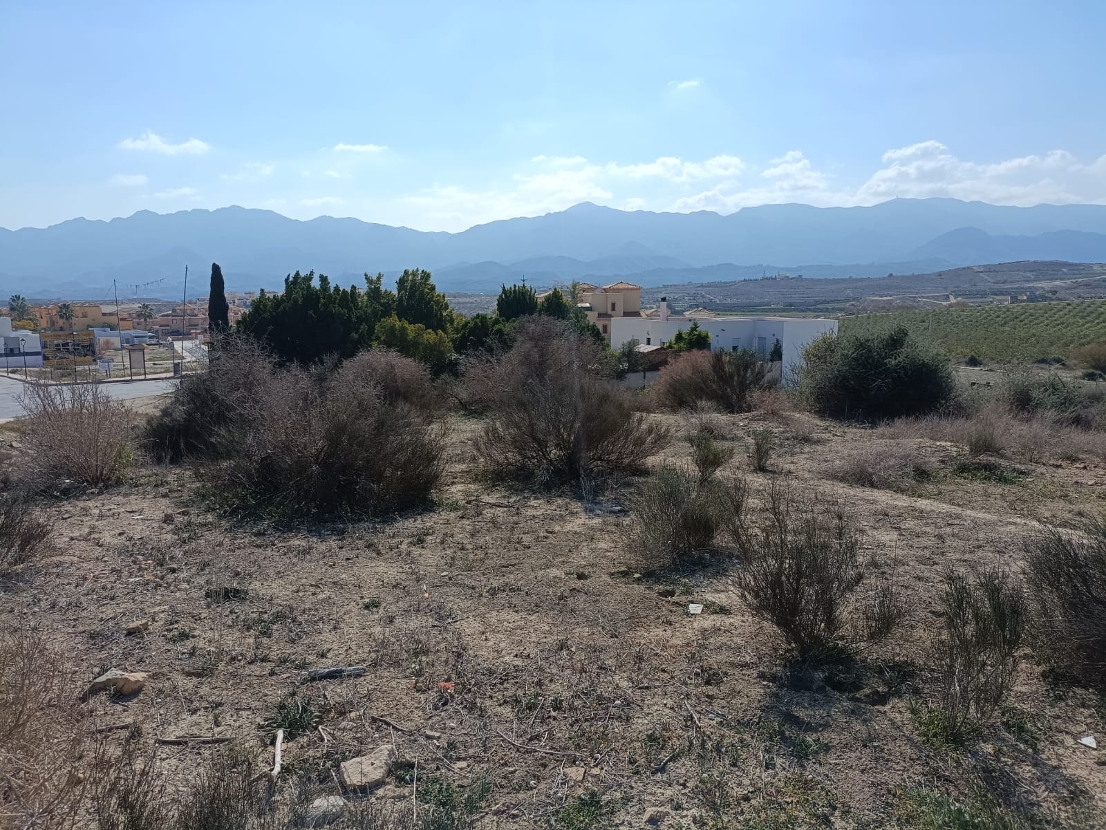 WhatsApp Image 2025-09-03 at 10.28.17_9cab0f40 m2184-Cortijo on over 26,000m2.