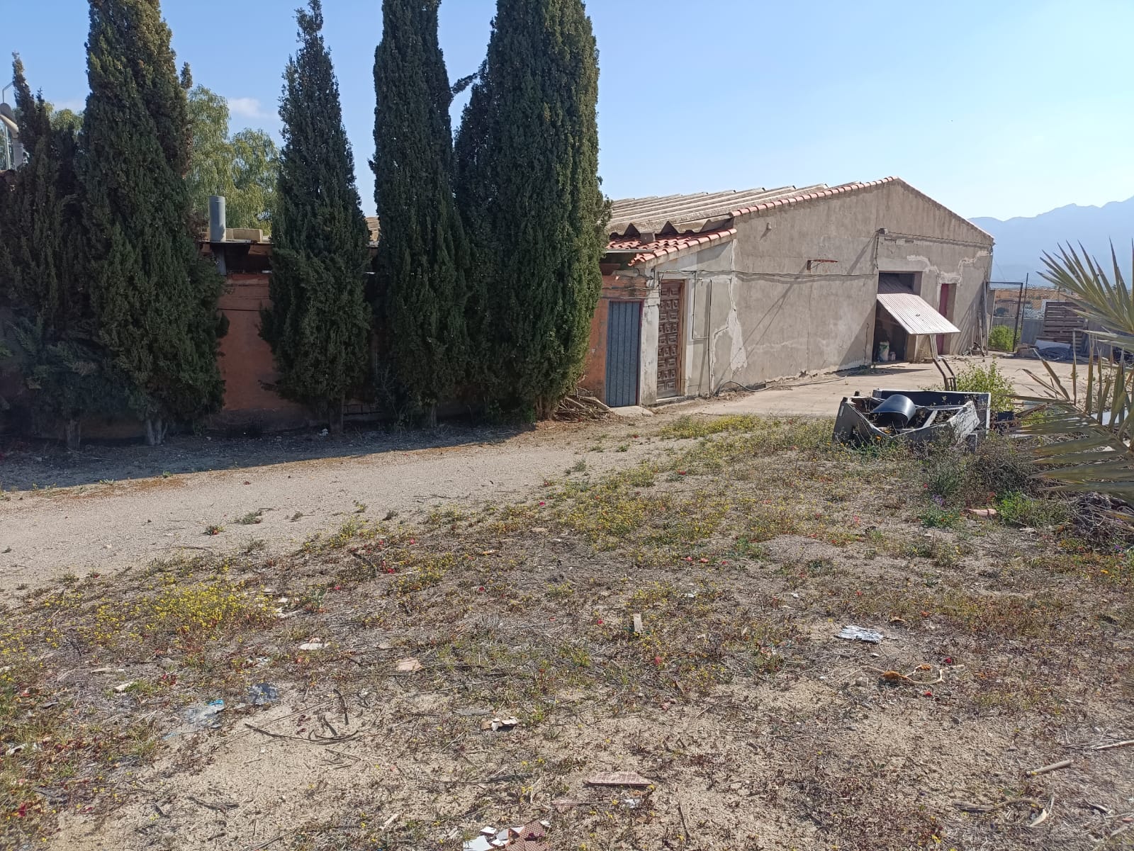 WhatsApp Image 2025-09-03 at 10.28.19_79f95c68 m2184-Cortijo on over 26,000m2.