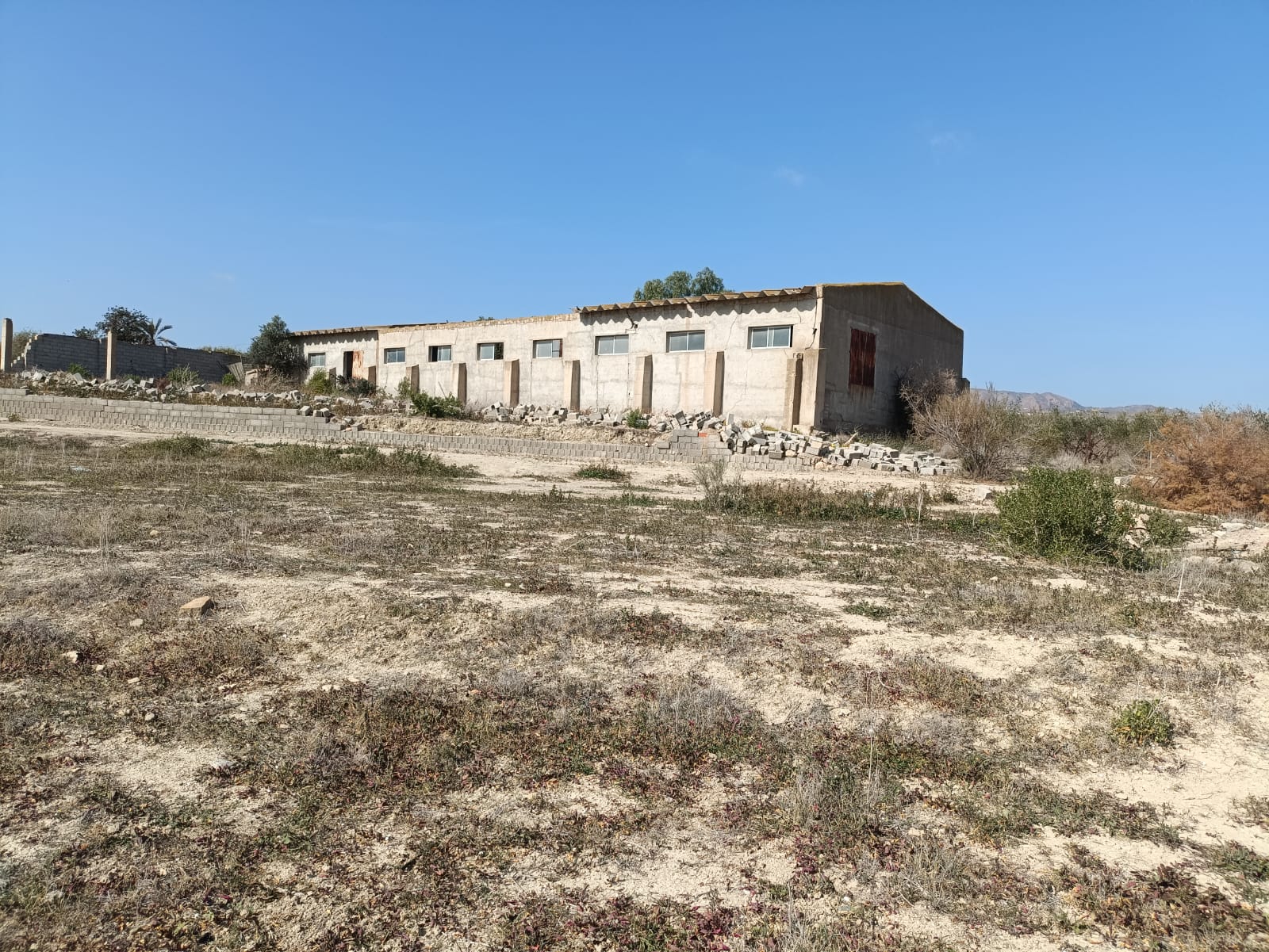 WhatsApp Image 2025-09-03 at 10.28.19_7e8889d1 m2184-Cortijo on over 26,000m2.