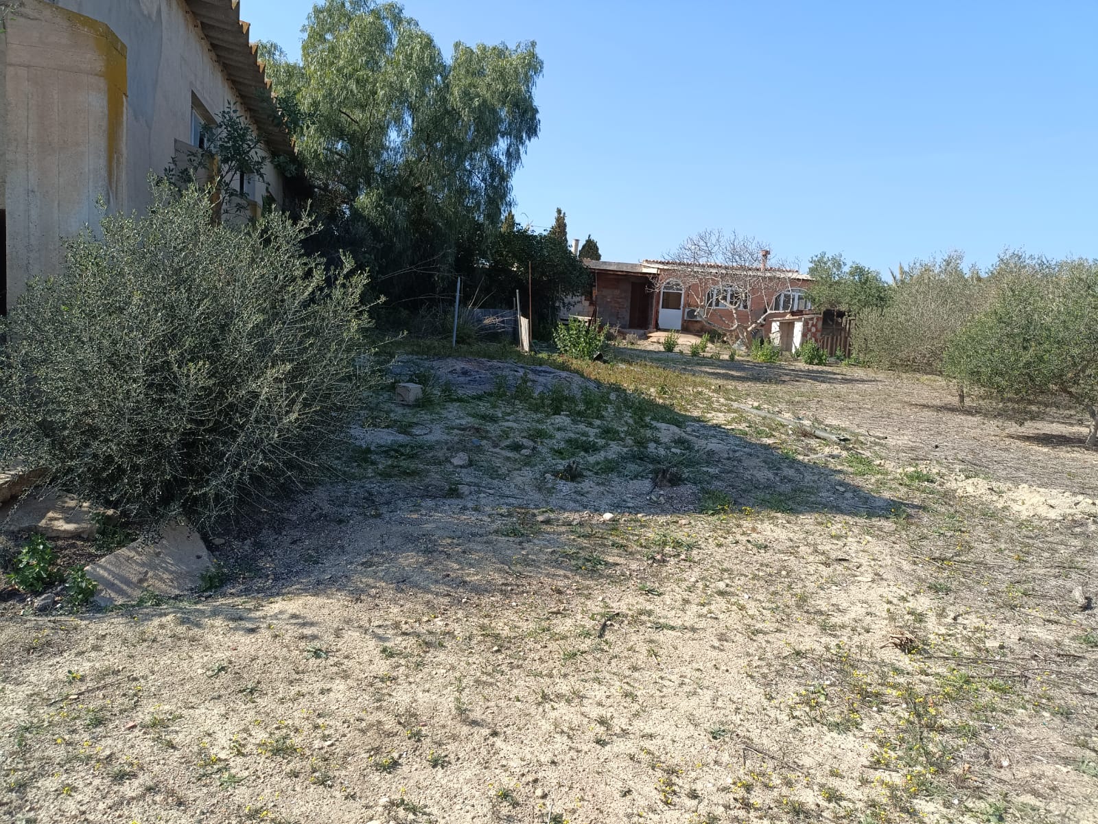WhatsApp Image 2025-09-03 at 10.28.19_88a9257f m2184-Cortijo on over 26,000m2.
