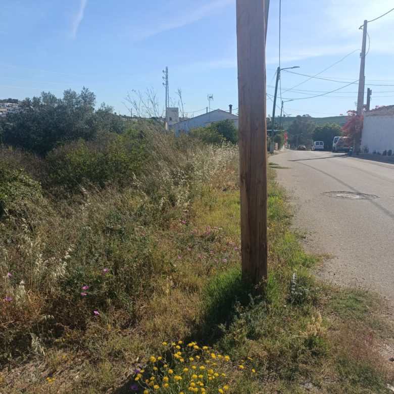 m2194-Property and land for sale in Alfaix.