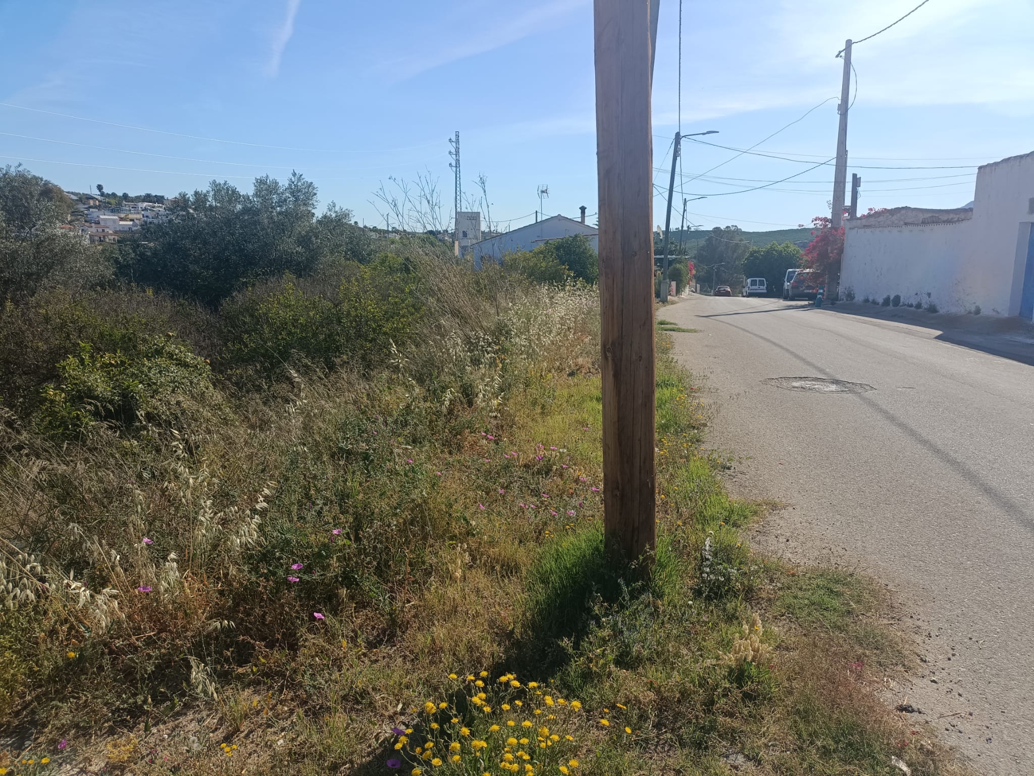 WhatsApp Image 2026-04-20 at 09.58.37 m2194-Property and land for sale in Alfaix.