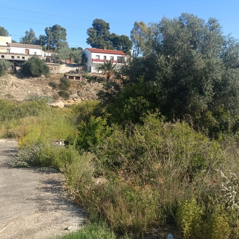 m2194-Property and land for sale in Alfaix.