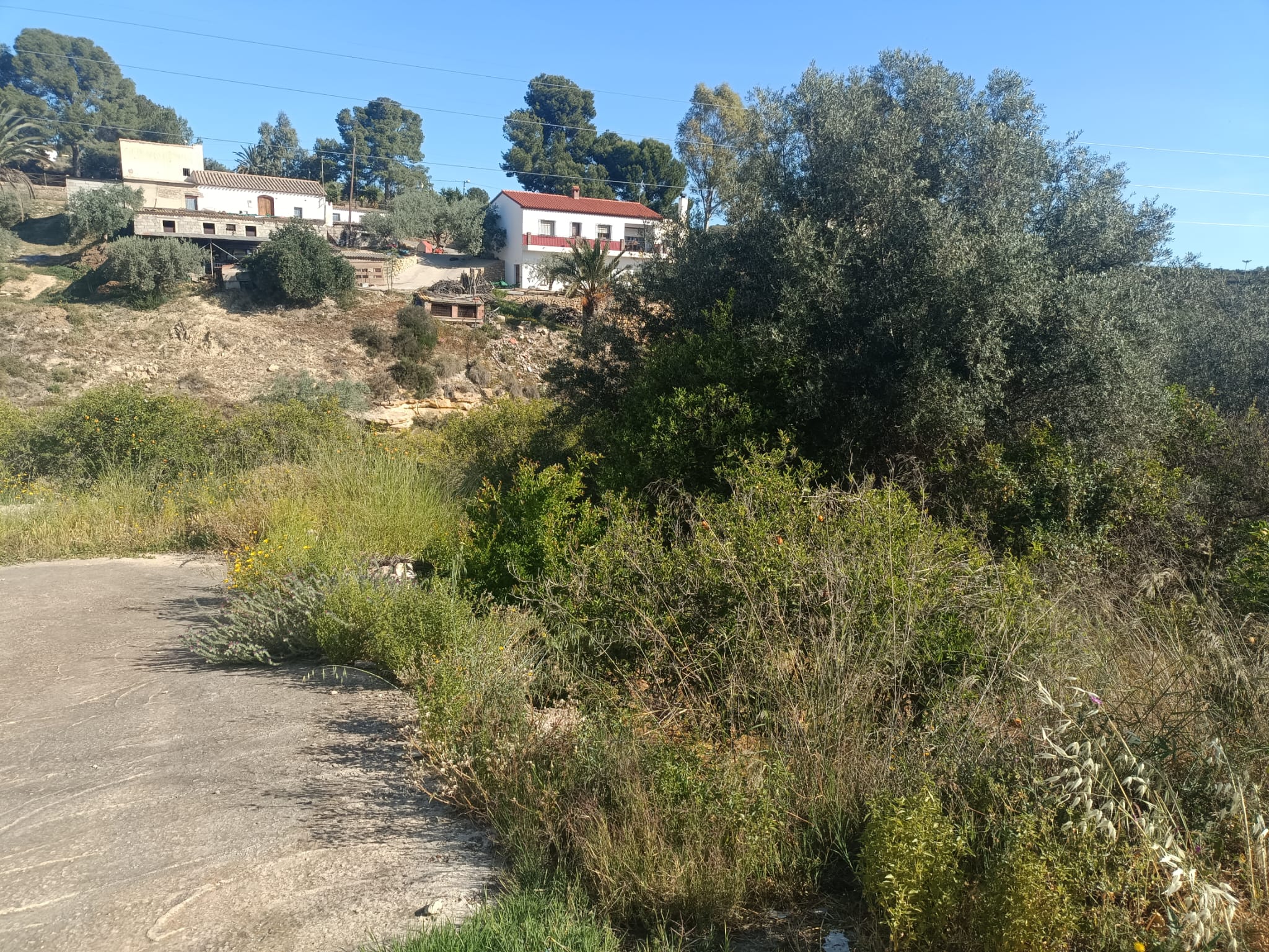 WhatsApp Image 2026-04-20 at 09.58.38 m2194-Property and land for sale in Alfaix.