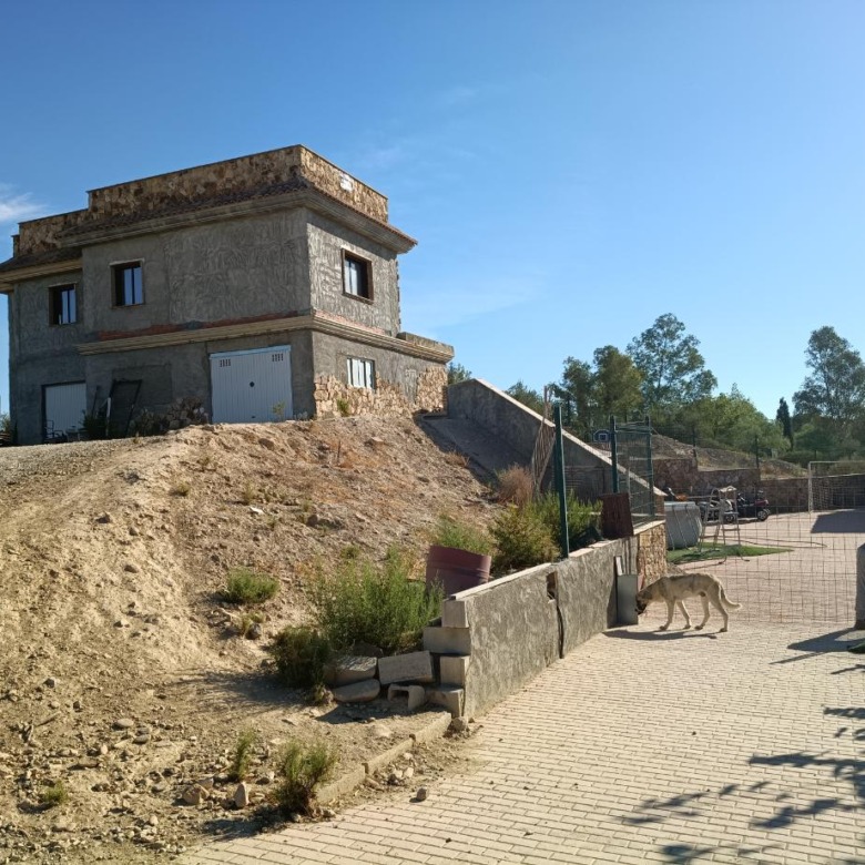 SI-ALF – Large 3 Bed Villa & Seperate 2 Bed Annex Nr. Turre