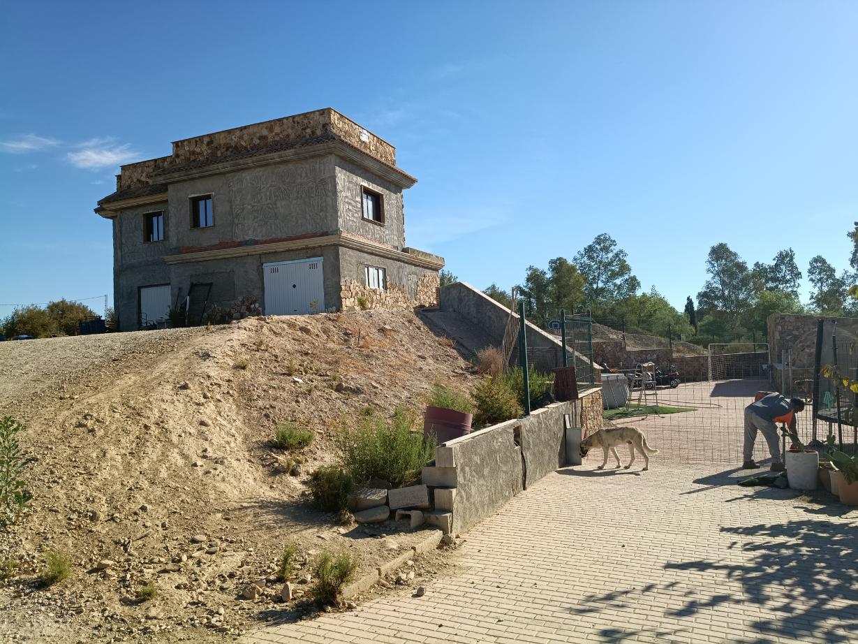 IMG_20260922_103105841 SI-ALF – Large 3 Bed Villa & Seperate 2 Bed Annex Nr. Turre
